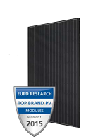 Top_Brand_PV