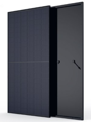 Trina Honey Black DD06M.05 (II) Fullblack Beschreibungstext ...