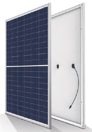 Trina Honey II PE06H